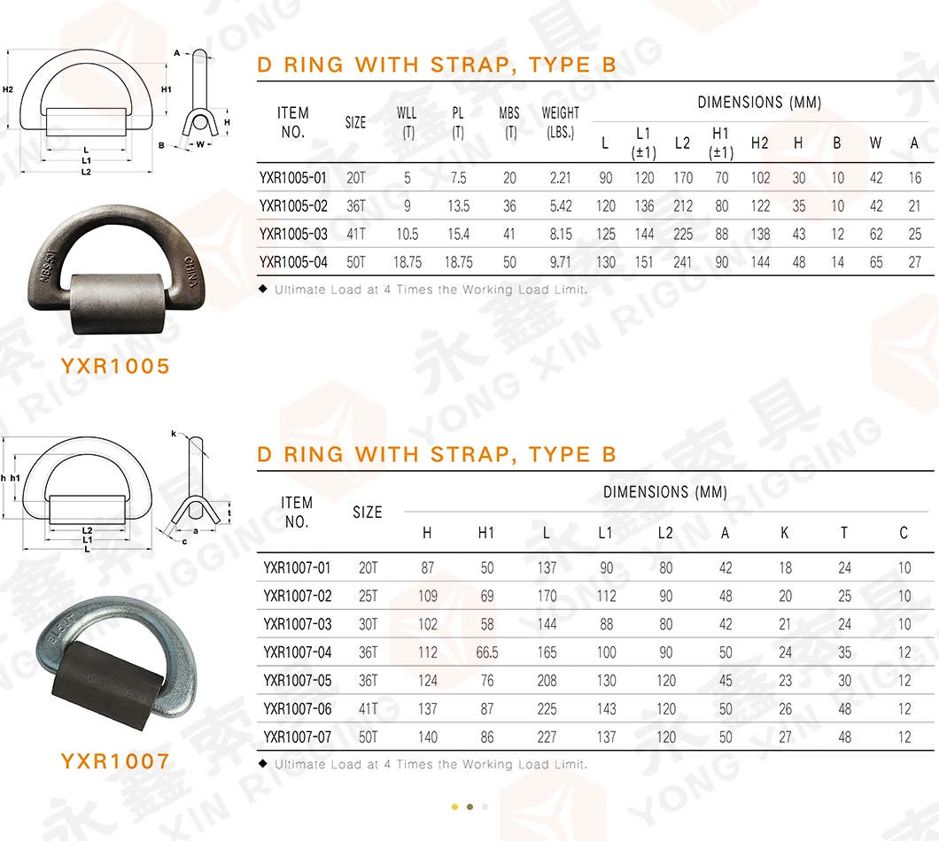 The Best Quality D-Ring Fitting High Quality Can Be Customized Container Weldable Fitting